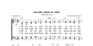 Bài hát: TẠM BIỆT TRONG HY VỌNG