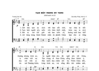 Bài hát: TẠM BIỆT TRONG HY VỌNG