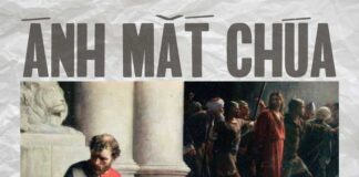 Thơ: ÁNH MẮT CHÚA