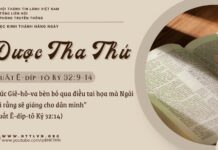 Được Tha Thứ – 10/5/2025
