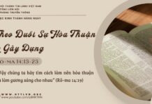Theo Đuổi Sự Hòa Thuận và Gây Dựng – 15/5/2025