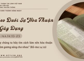 Theo Đuổi Sự Hòa Thuận và Gây Dựng – 15/5/2025