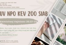Puv Npo Kev Zoo Siab – 17/5/2025