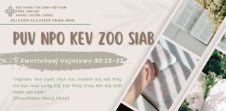 Puv Npo Kev Zoo Siab – 17/5/2025