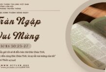 Tràn Ngập Vui Mừng – 17/5/2025