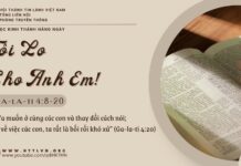 Tôi Lo Cho Anh Em! – 20/5/2025