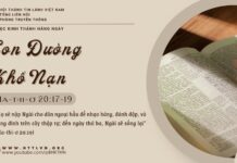Con Đường Khổ Nạn – 23/5/2025