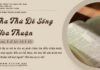 Tha Thứ Để Sống Hòa Thuận – 4/5/2025