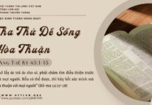 Tha Thứ Để Sống Hòa Thuận – 4/5/2025