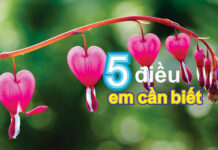 Bài hát: NĂM ĐIỀU EM CẦN BIẾT