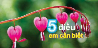 Bài hát: NĂM ĐIỀU EM CẦN BIẾT