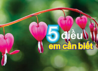 Bài hát: NĂM ĐIỀU EM CẦN BIẾT