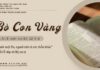 Bò Con Vàng – 7/5/2025