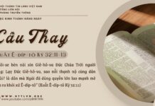Cầu Thay – 9/5/2025