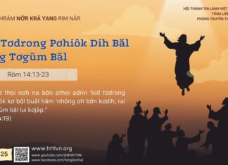 Kiơ̆ Tơdrong Pơhiôk Dih Băl Păng Tơgŭm Băl – 15/5/2025