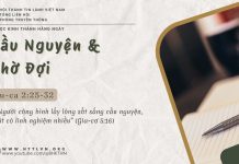 Cầu Nguyện & Chờ Đợi – 11/6/2025