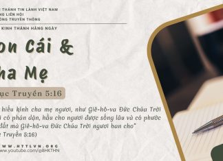 Con Cái và Cha Mẹ – 15/6/2025