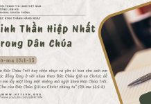 Tinh Thần Hiệp Nhất Trong Dân Chúa – 16/6/2025