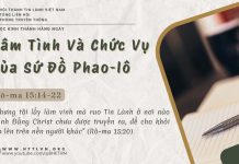 Tâm Tình Và Chức Vụ Của Sứ Đồ Phao-lô – 17/6/2025