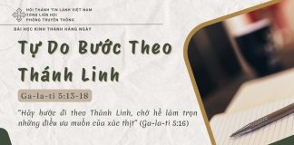 Tự Do Bước Theo Thánh Linh – 25/6/2025