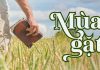 Thơ: MÙA GẶT