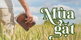 Thơ: MÙA GẶT