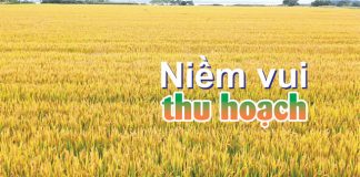 Niềm Vui Thu Hoạch