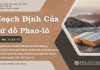 Hoạch Định Của Sứ đồ Phao-lô – 11/7/2025