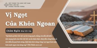 Vị Ngọt Của Khôn Ngoan – 13/7/2025