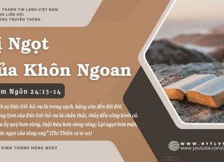 Vị Ngọt Của Khôn Ngoan – 13/7/2025