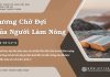 Gương Chờ Đợi Của Người Làm Nông – 16/7/2025