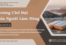 Gương Chờ Đợi Của Người Làm Nông – 16/7/2025