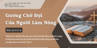 Gương Chờ Đợi Của Người Làm Nông – 16/7/2025