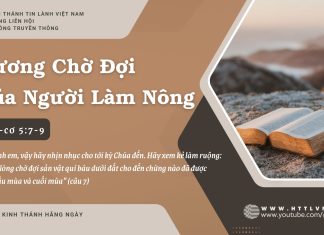 Gương Chờ Đợi Của Người Làm Nông – 16/7/2025