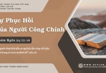 Sự Phục Hồi Của Người Công Chính – 20/7/2025