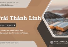 Trái Thánh Linh – 22/7/2025