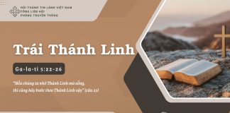 Trái Thánh Linh – 22/7/2025