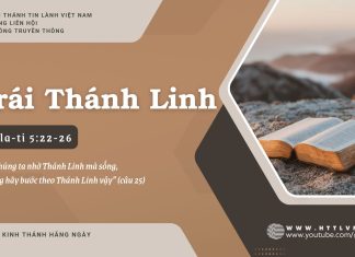 Trái Thánh Linh – 22/7/2025