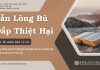 Sẵn Lòng Bù Đắp Thiệt Hại – 31/7/2025