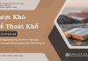 Vượt Khó Để Thoát Khổ – 5/7/2025