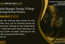 Kơplah Bơngai Tơnăp Tơ’bơ̆p Tơdrong Hơnat Hơnot – 19/7/2025