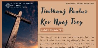 Timthawj Paulus Kev Npaj Tseg – 11/7/2025