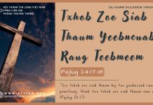 Txhob Zoo Siab Thaum Yeebncuab Raug Teebmeem – 27/7/2025