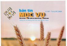 Bản Tin Mục vu 107 – Mùa Gặt