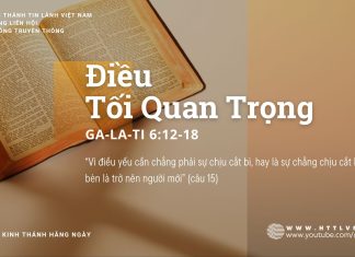 Điều Tối Quan Trọng – 12/8/2025