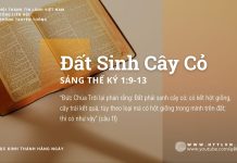 Đất Sinh Cây Cỏ – 16/8/2025