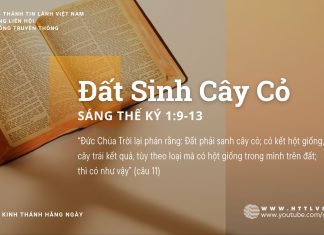 Đất Sinh Cây Cỏ – 16/8/2025