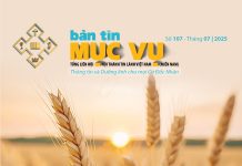 Bài hát: MÙA GẶT ĐÃ TỚI