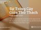 Sự Trông Cậy Giữa Thử Thách – 28/8/2025