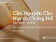 Cầu Nguyện Cho Người Chống Đối – 5/8/2025